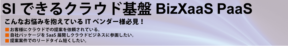 SIできるクラウド基盤BizXaaS　PaaS 
